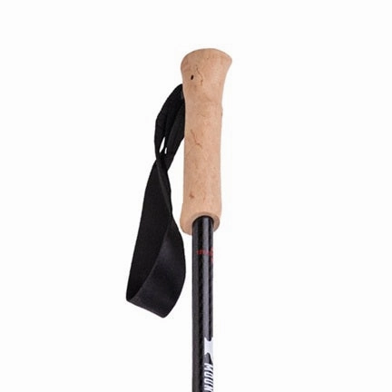 Andesite Trekking Poles