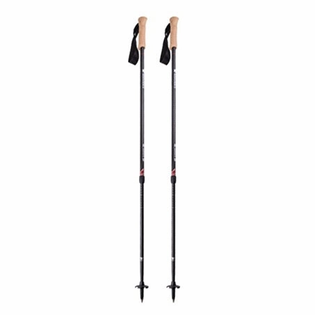 Andesite Trekking Poles