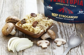 Beef Stroganoff Ramen Noodles
