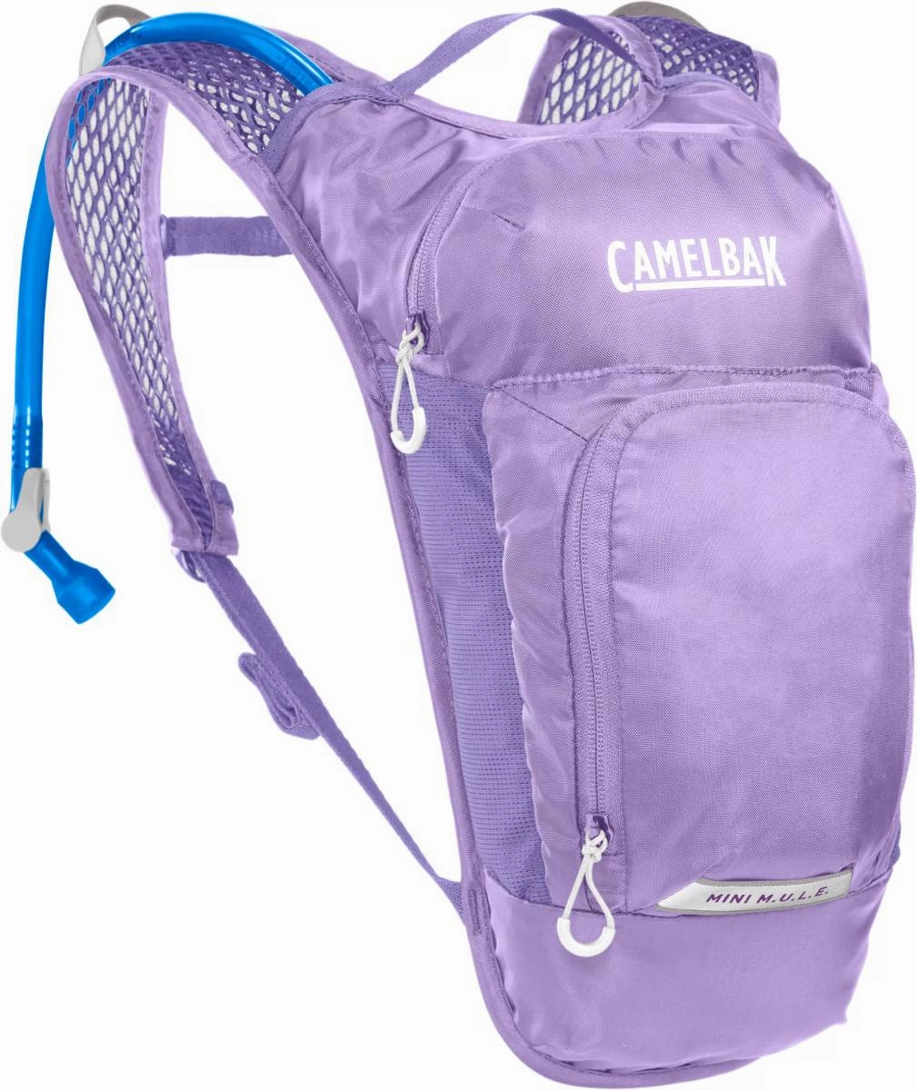 CamelBak Kids' Mini M.U.L.E. Hydration Pack 50oz  1.5L