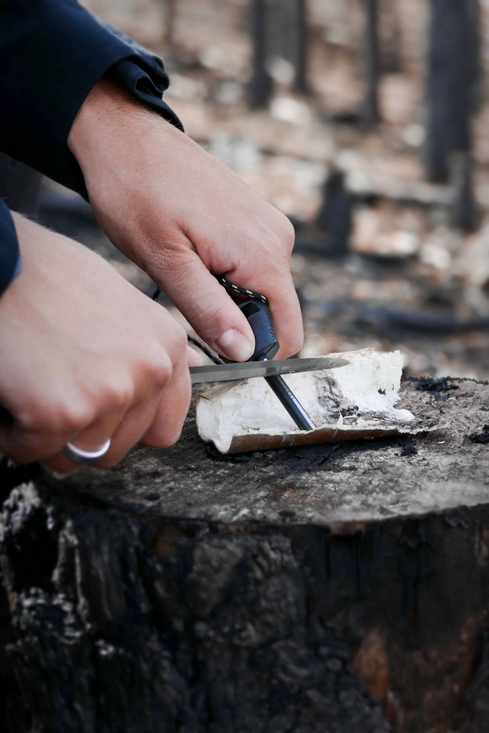 Companion Spark Knife