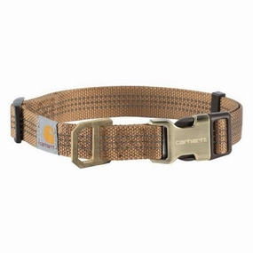Dog Collar