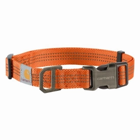 Dog Collar