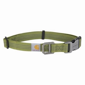 Dog Collar