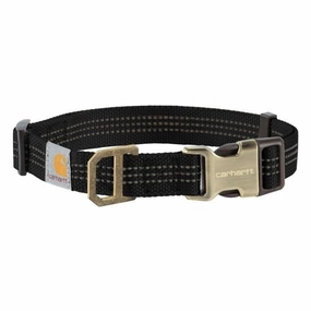 Dog Collar