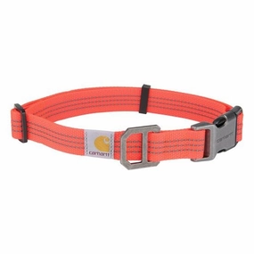Dog Collar