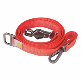 Dog Leash