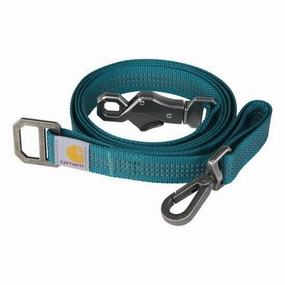 Dog Leash
