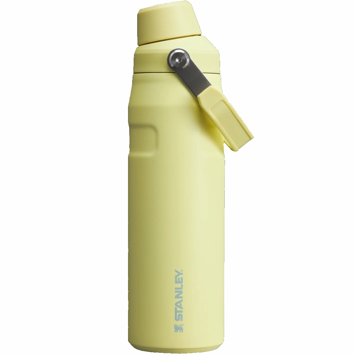 IceFlow Bottle 24 oz with Fast Flow Lid