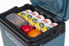 Igloo IE 24L Cool Box- 12v / 230v Thermo Electric Cool Box
