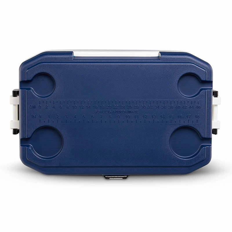 Igloo Maxcold 54QT Cool Box