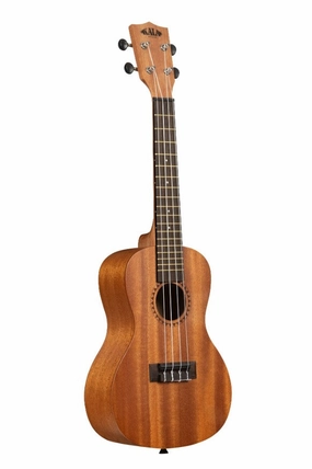 Learn to Play Ukulele Concert kit