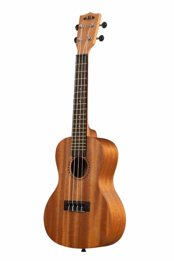 Learn to Play Ukulele Concert kit