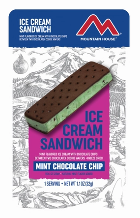 Mint Chocolate Chip Ice Cream Sandwich