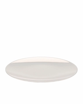 Mirror Plate