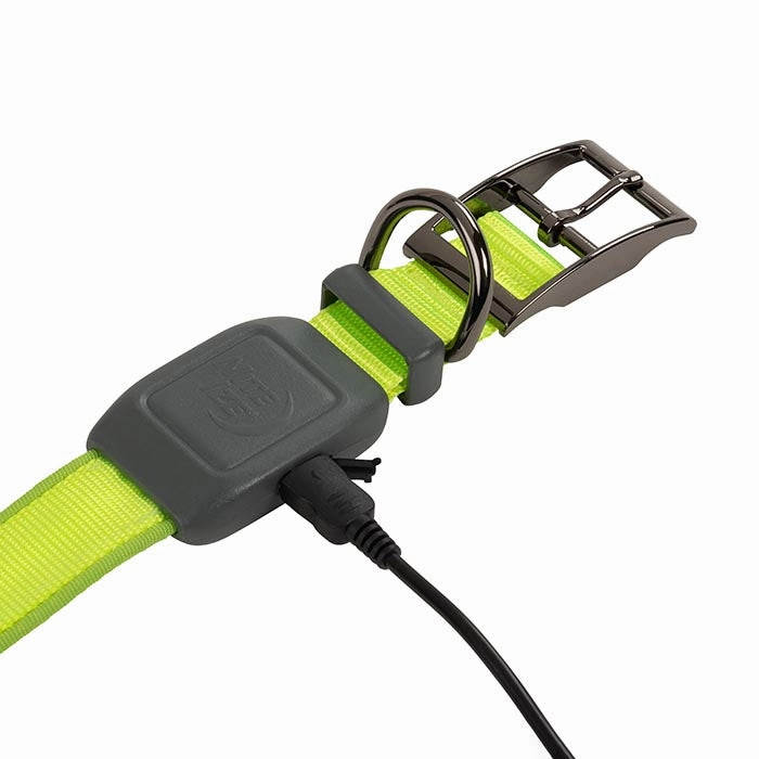 NiteDog Rechargeable LED Collar - Medium