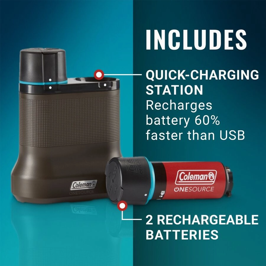 OneSource 2-Port Quick Charging Station and Battery - 2 Pack
