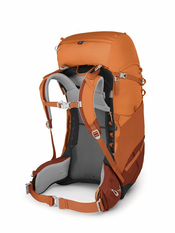 Osprey Ace 50 Backpack  Kids