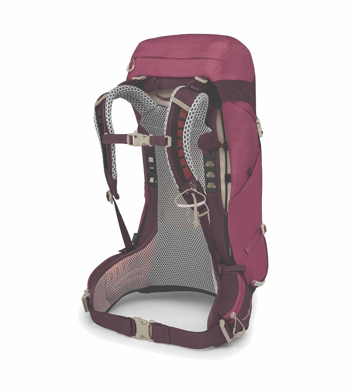 Osprey Sirrus 36 Backpack  Women