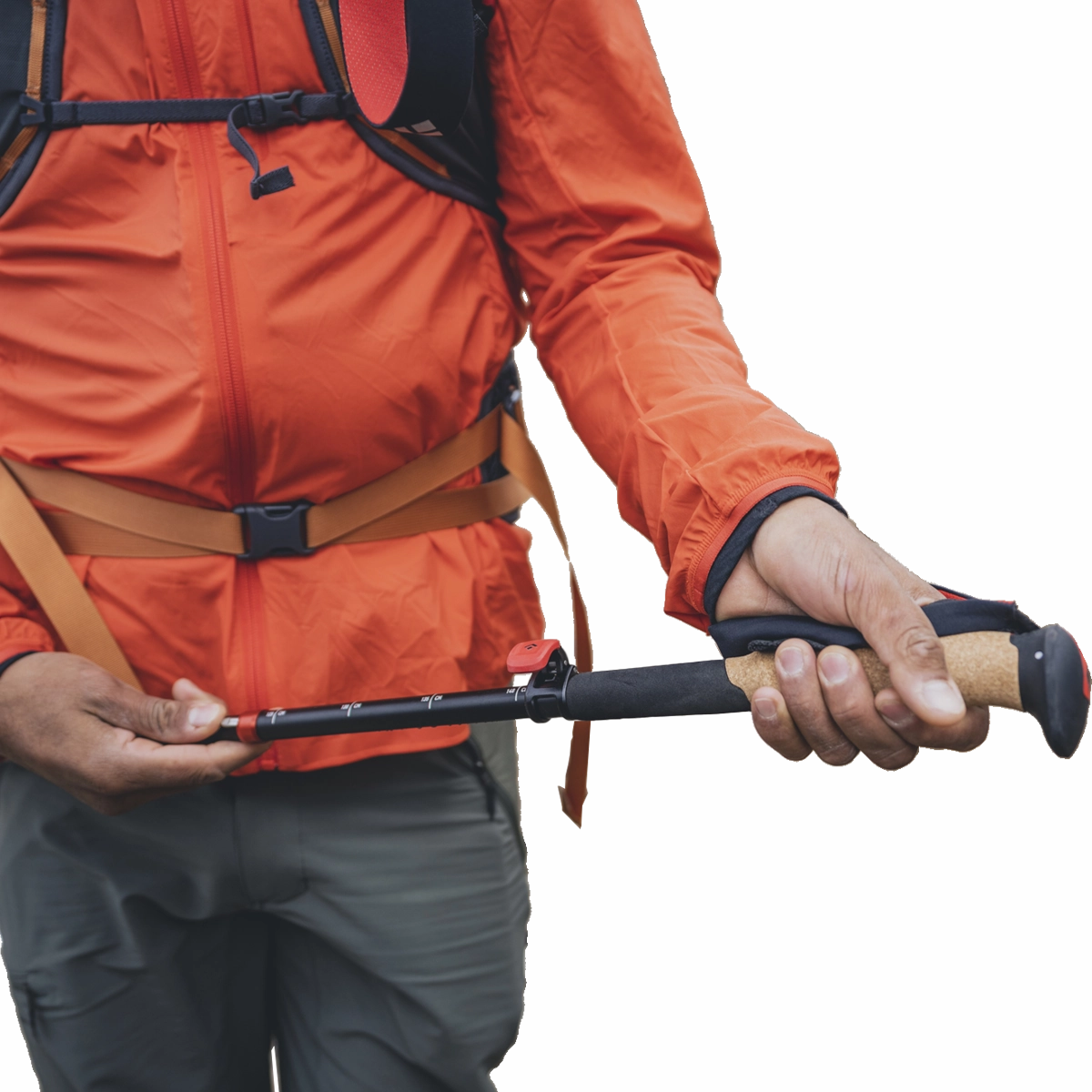 Pursuit FLZ Trekking Poles