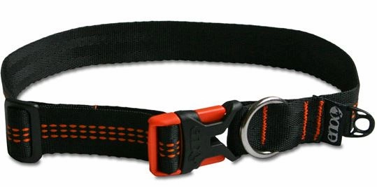 reCollar Dog Collar (Medium)