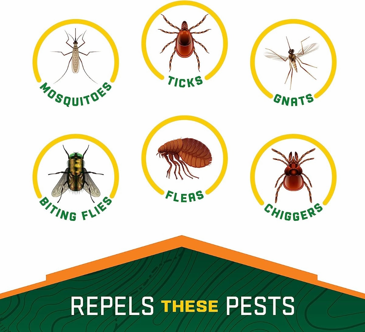 Repel 100 Insect Repellent Pump Spray