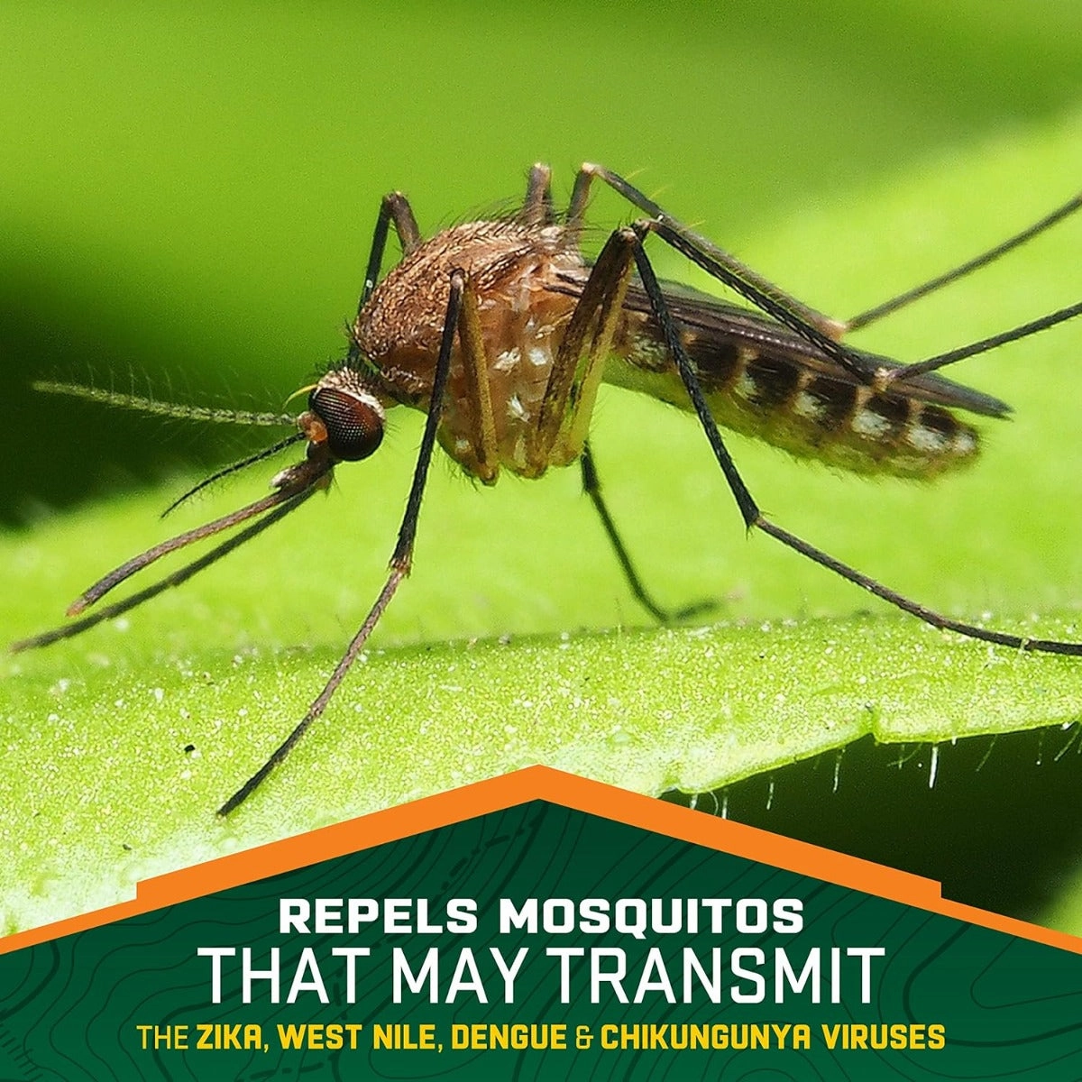 Repel 100 Insect Repellent Pump Spray
