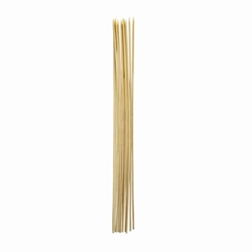 Roasting Sticks