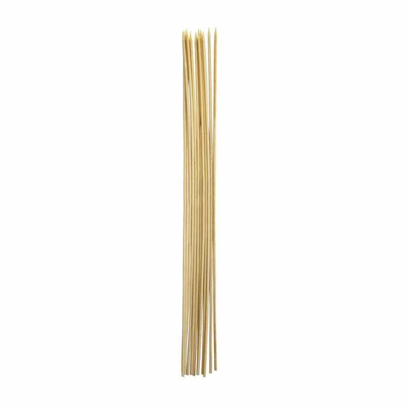 Roasting Sticks