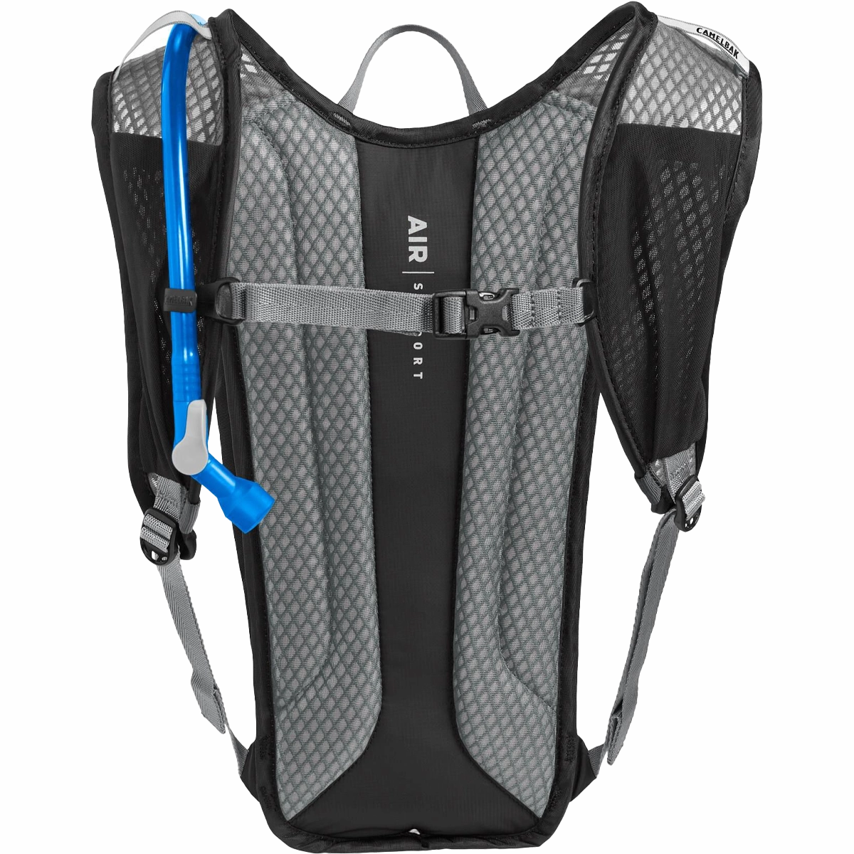 Rogue Light 7