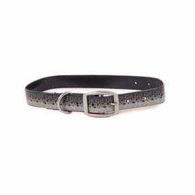 Salty Dog Collar