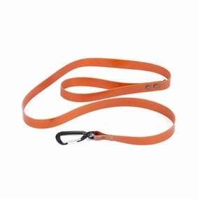 Salty Dog Leash