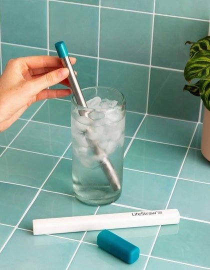 Sip Reusable Straw with Carry Case - 1pc