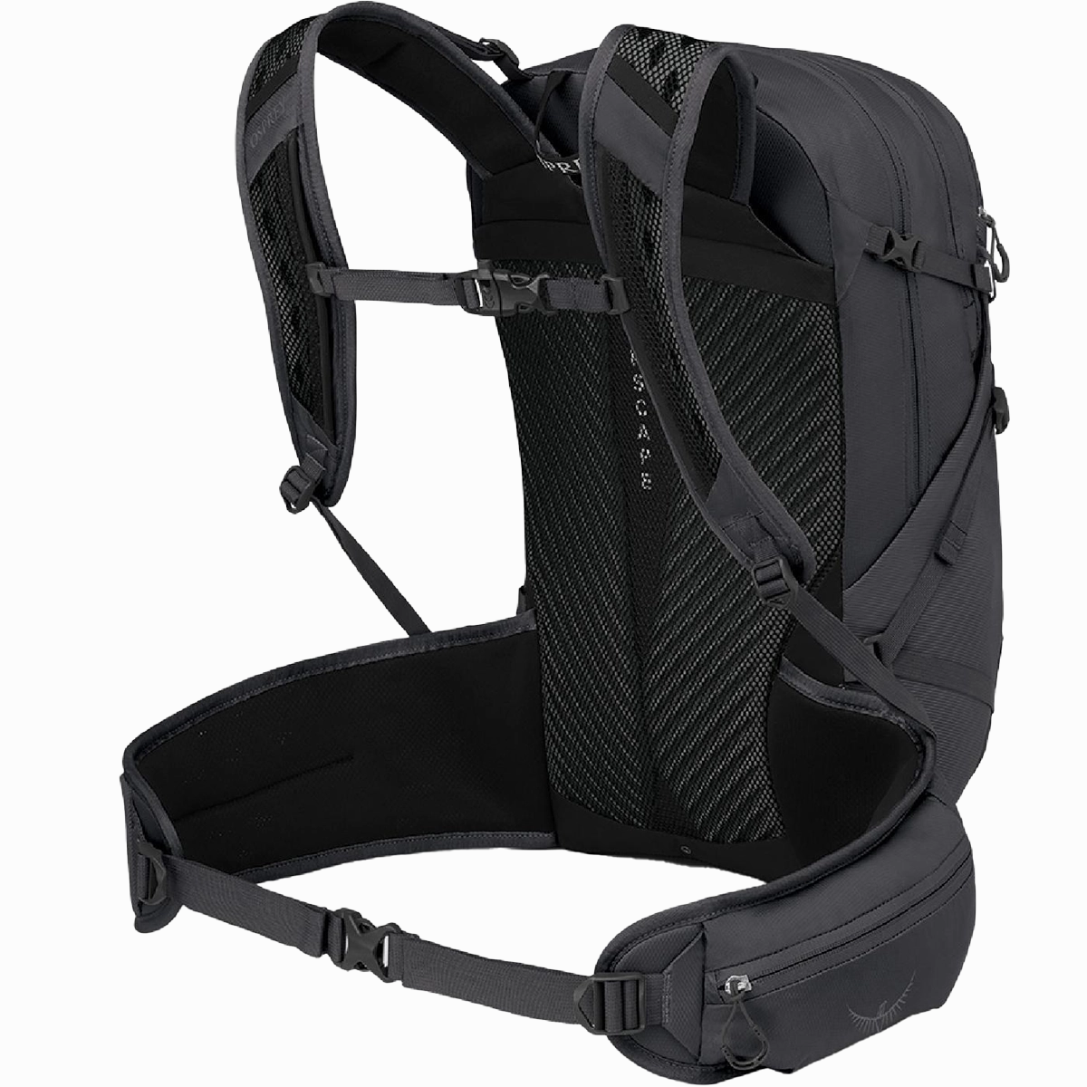 Sportlite 25 EF