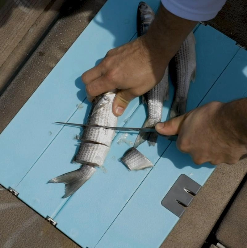 Stowaway Cutting Board