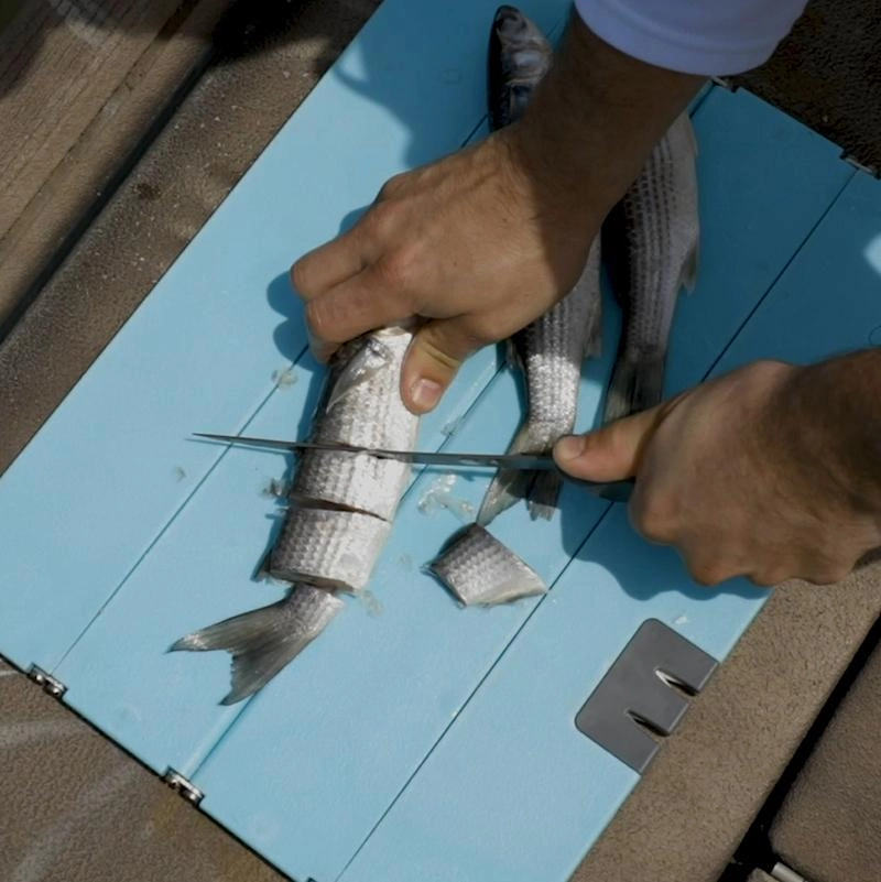 Stowaway Cutting Board