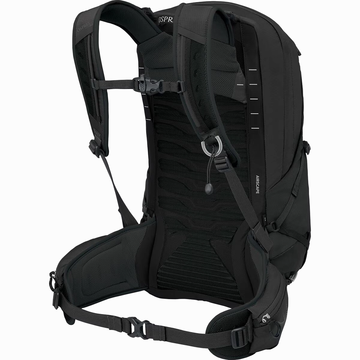 Talon 22