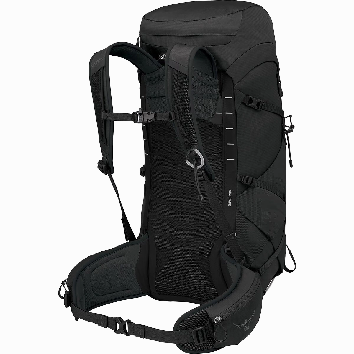 Talon 33