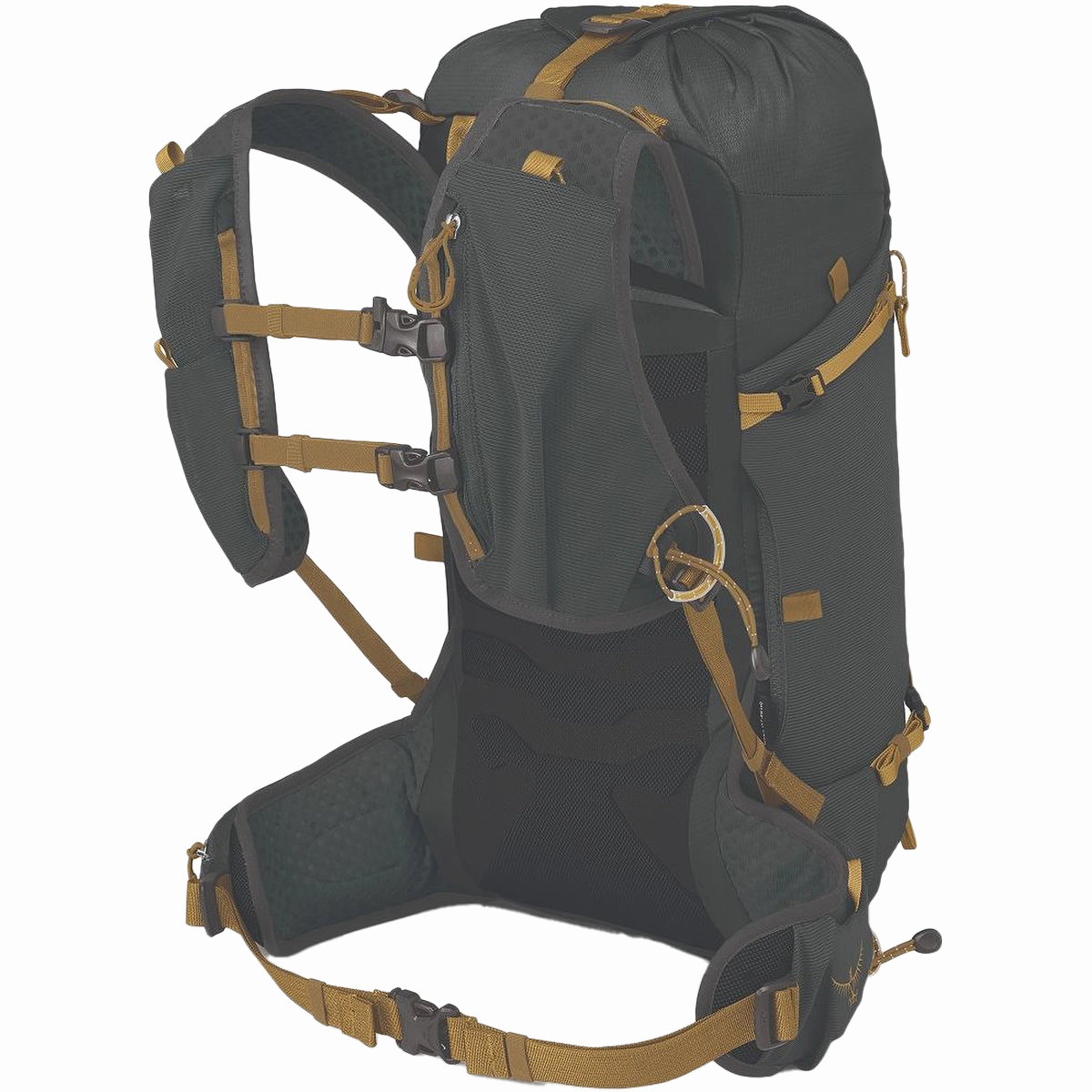 Talon Velocity 20