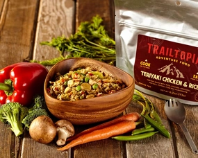 Teriyaki Chicken & Rice