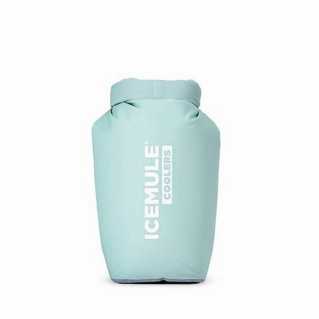 The ICEMULE Classic Mini