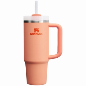 The Quencher 2.0 FlowState Tumbler