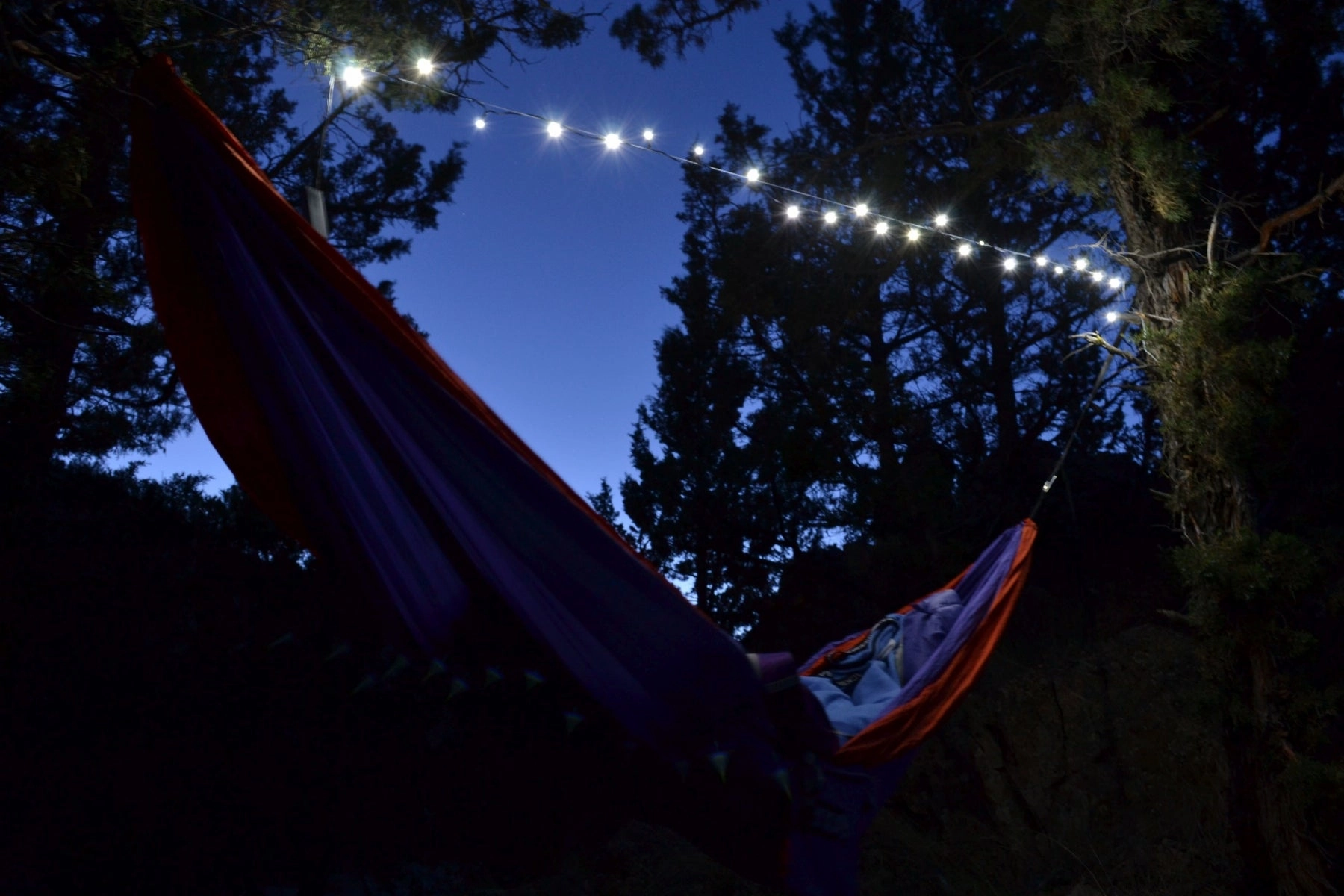 Twilights Camp Lights
