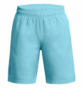 Under Armour Boys' UA Tech Woven Wordmark Shorts