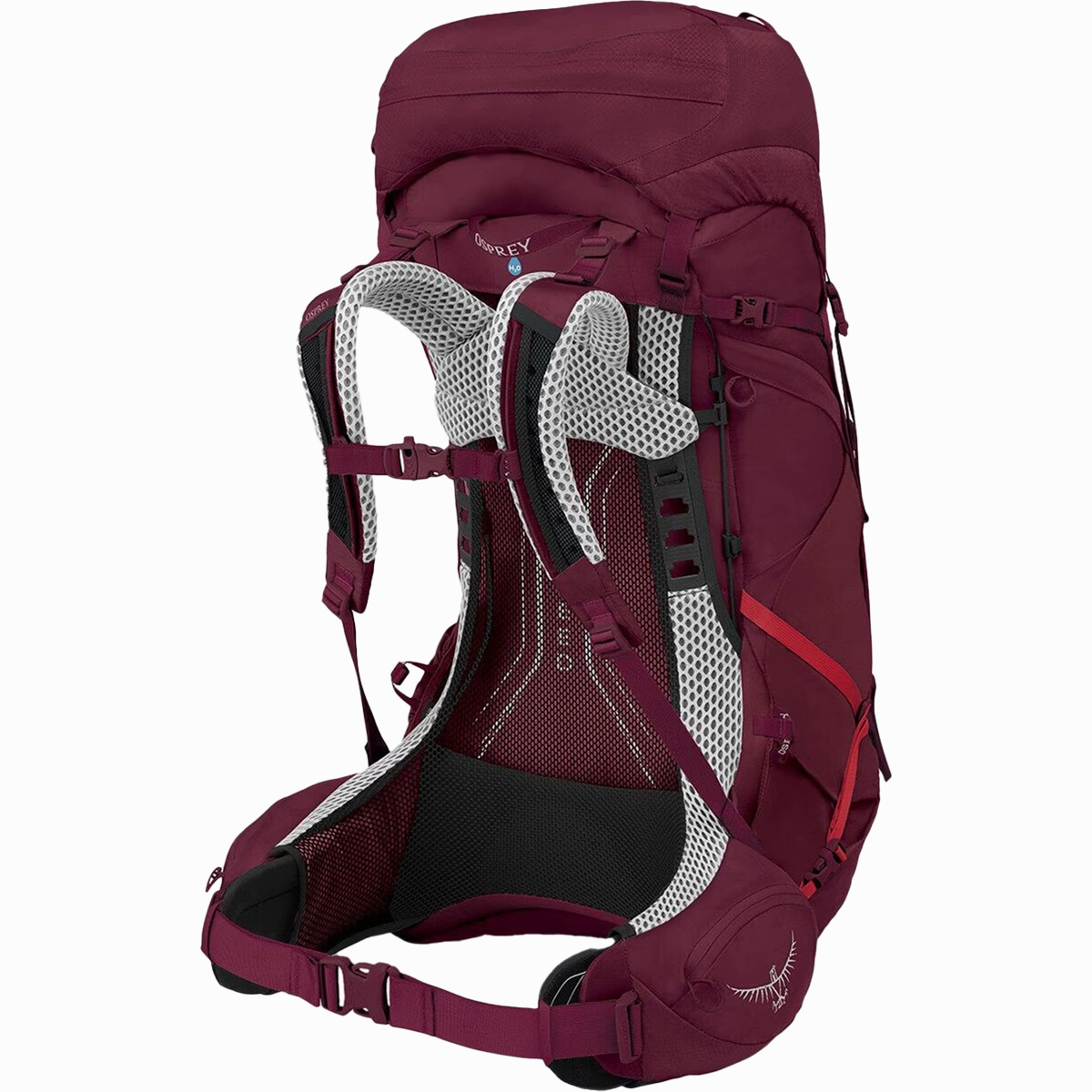 Women's Aura AG LT 50