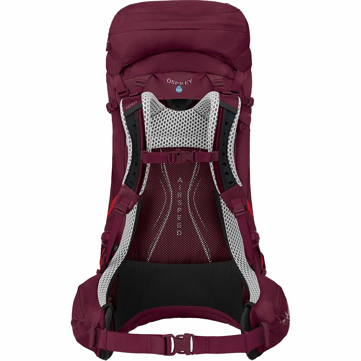 Women's Aura AG LT 50