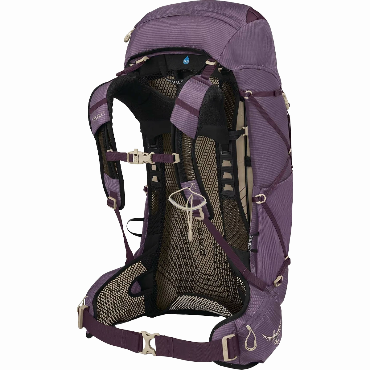 Women's Eja 38