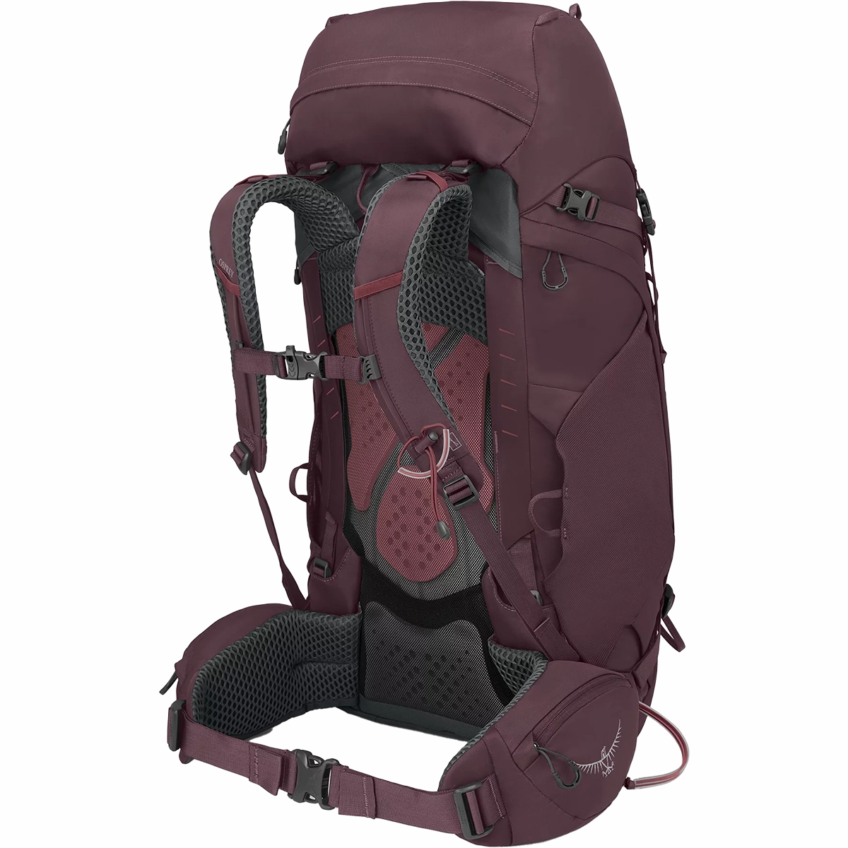 Women's Kyte 48