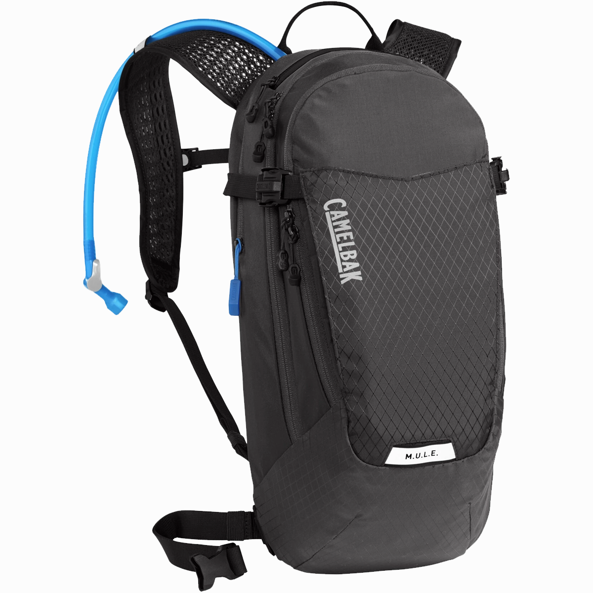 Women's M.U.L.E. 12