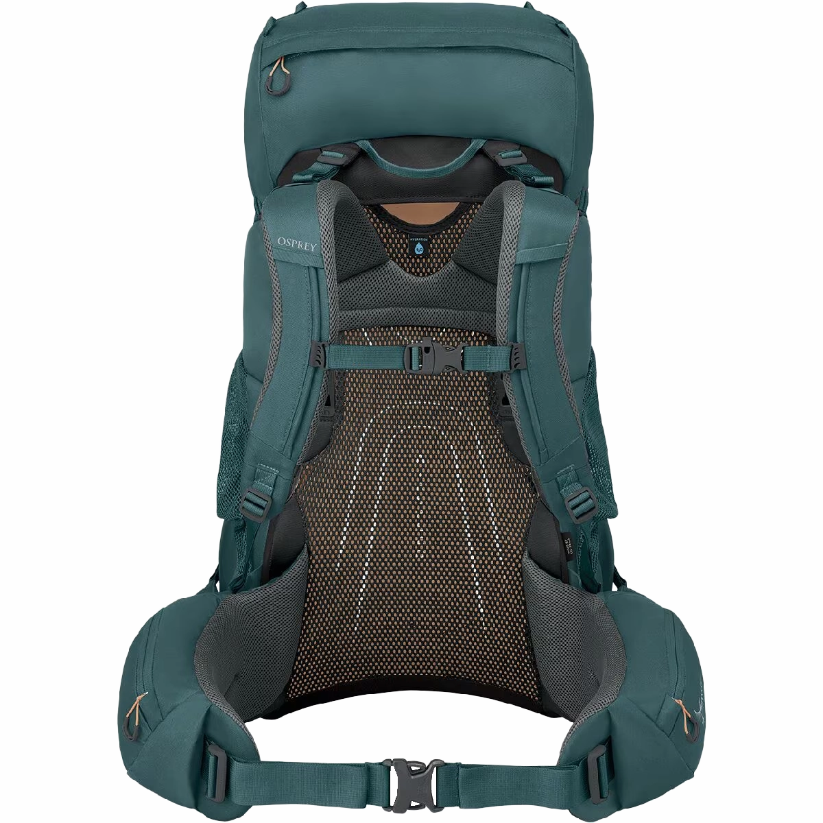Women's Renn 65L